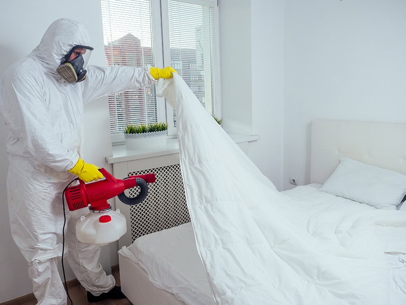 Bed Bugs Apartment Pest Control