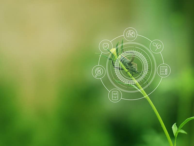 Hotel Pest Control - Integrated Pest Management